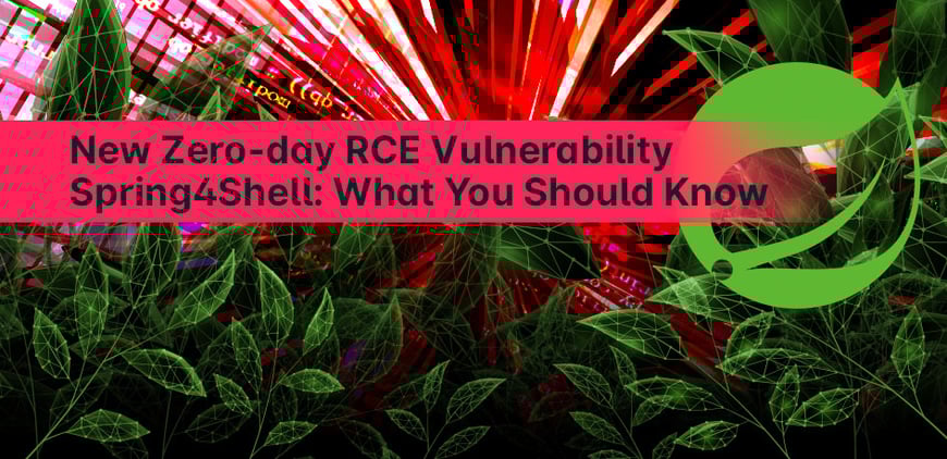 New Zero-day RCE Vulnerability Spring4Shell: What You Should Know