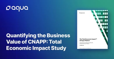 Quantifying the Business Value of CNAPP: Total Economic Impact Study
