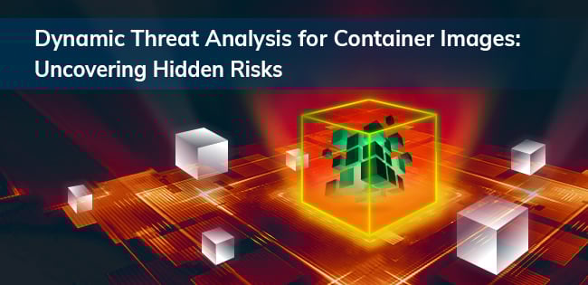 Dynamic Container Analysis Dynamic Container Analysis