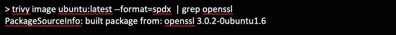 Trivy scanner lets you use SBOM to find OpenSSL usage