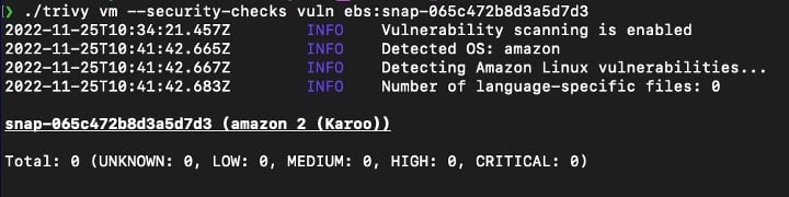 Trivy vulnerability scan of ebs snapshot 