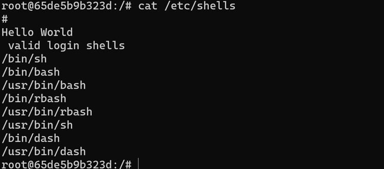 Running a new container showing exploit worked
