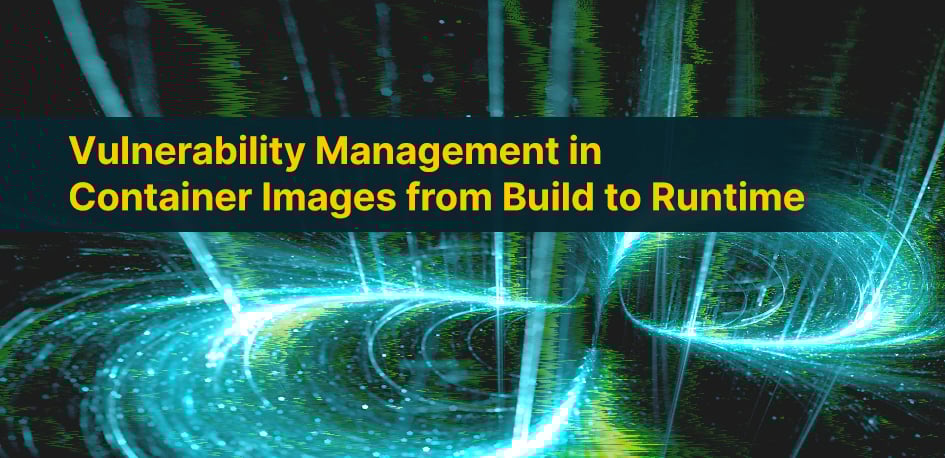 Vulnerability Management Vulnerability Management