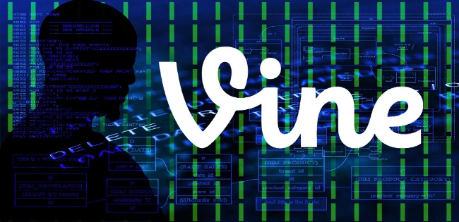 Vine Docker registry hack Vine Docker registry hack