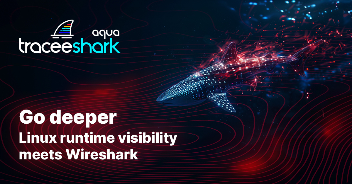 Go deeper: Linux runtime visibility meets Wireshark